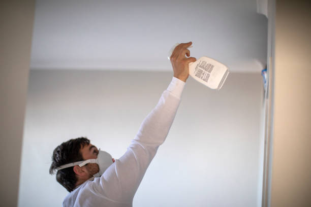 Best Mold Damage Repair  in Paradise Valley, AZ
