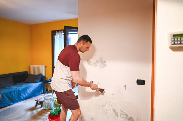 Best Mold Damage Repair  in Paradise Valley, AZ
